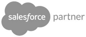 Salesforce partner